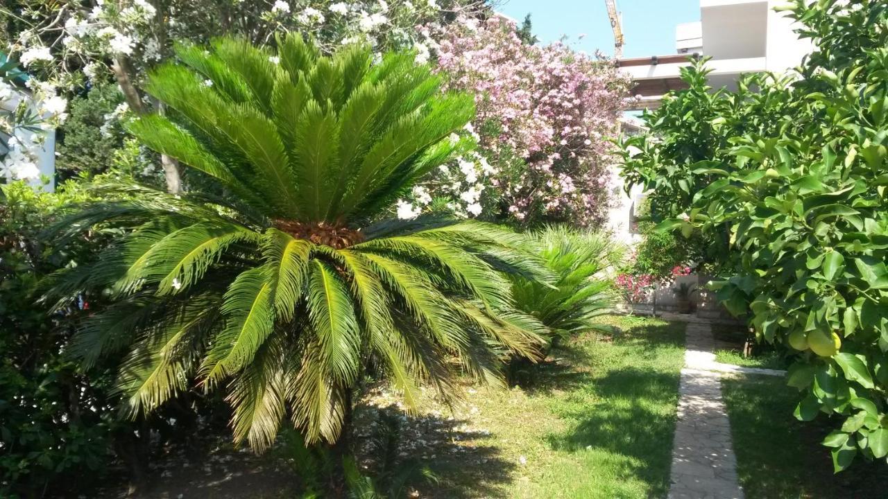 Apartments Maris Garden Petrovac Bagian luar foto